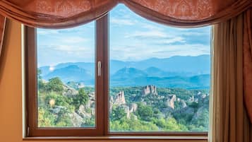Superior Apartment, Balcony, City View | View from room