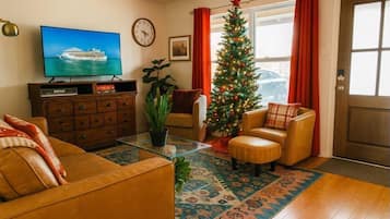 Smart TV, fireplace, books, music library