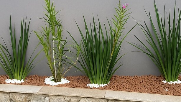 Une enseigne sur laquelle est inscrit le mot « Slim » en lettres bleues, fixée à un mur gris, et agrémentée de plantes vertes en pots blancs disposées en rangée.