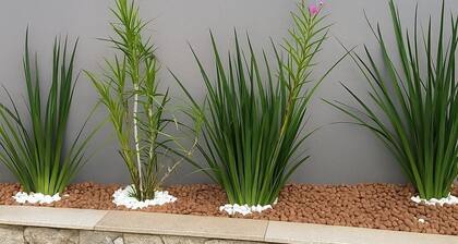 Studio Teresa - next to UFSJ and Church of Sao Francisco de Assis