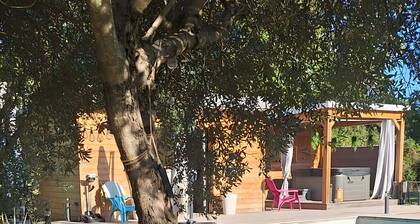 Le Pin Penché - Haven of Peace