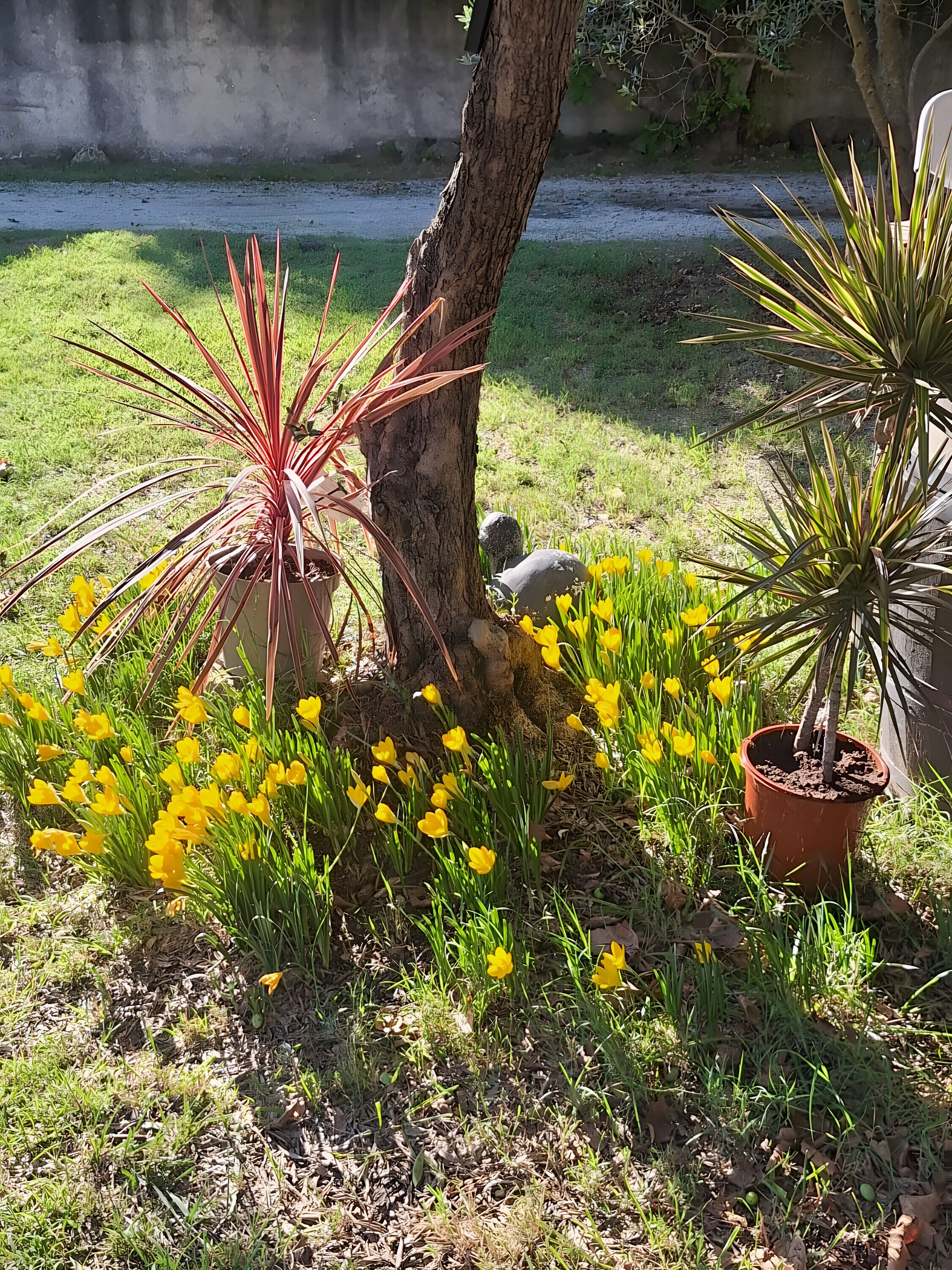 Overnatningsstedets område