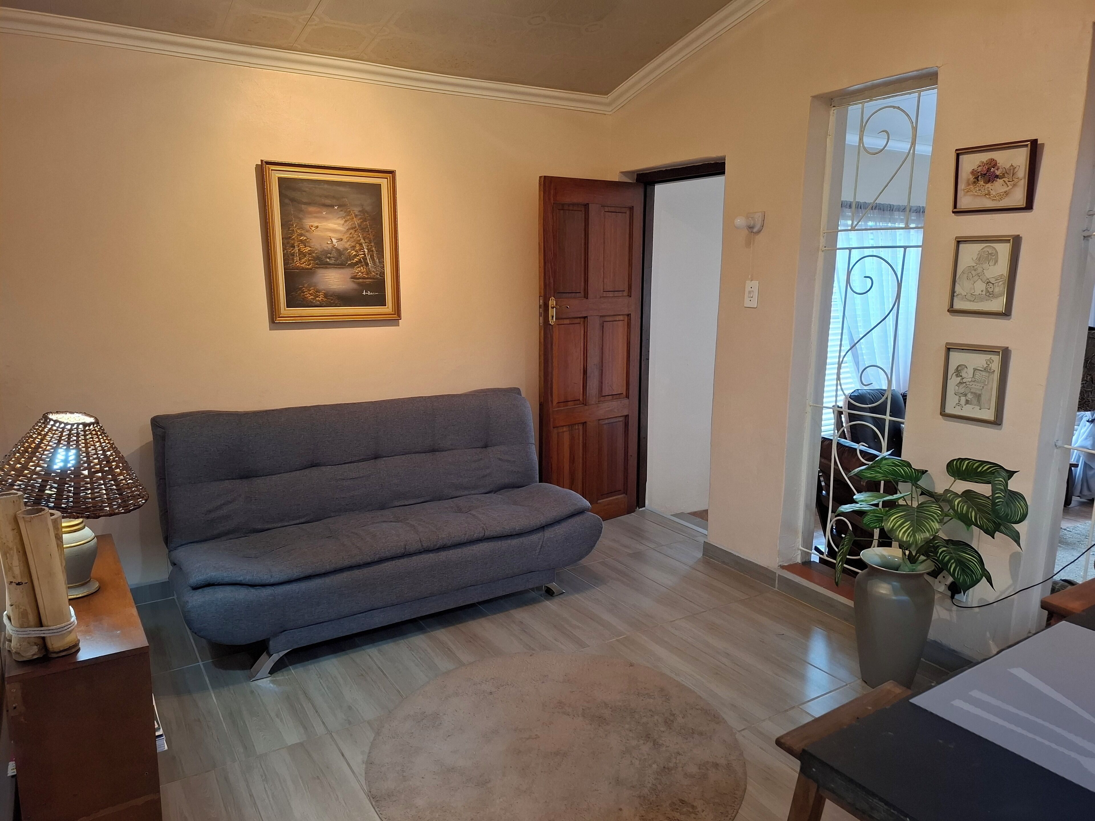 A living room with a grey sofa, a wooden door, a framed painting, and a potted plant.