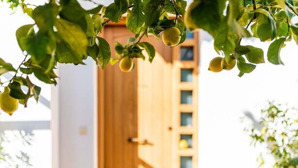 A wooden door with a small window, a potted plant to the left, and another to the right. - Charming House in Albaicín, Granada (Granada)