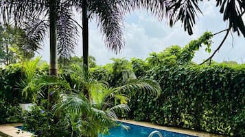Senior Suite | Private pool