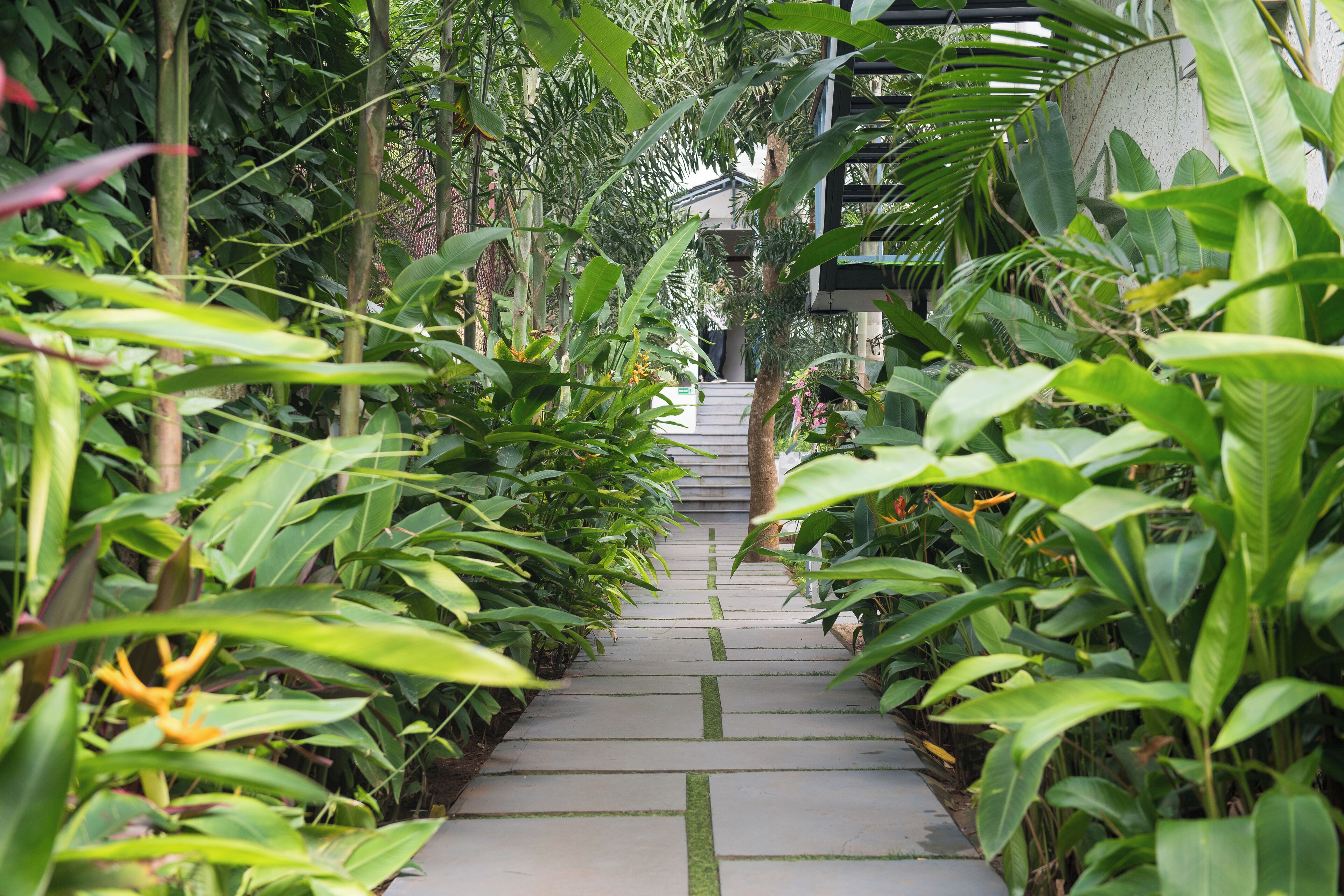 Suíte sênior | Vista para o jardim