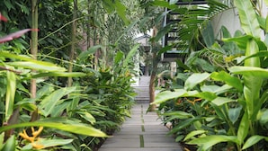 A pathway flanked by lush green plants leading to a building. - Respira Villaas (Calangute)