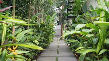 Suite senior | Vista al jardín