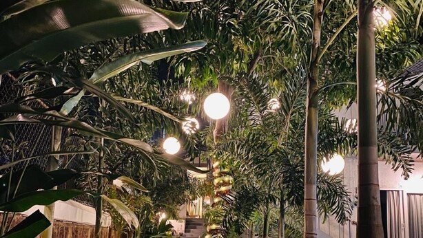 A pathway lined with tropical plants and illuminated by spherical lights, leading to a pool area. - Respira Villaas (Calangute)
