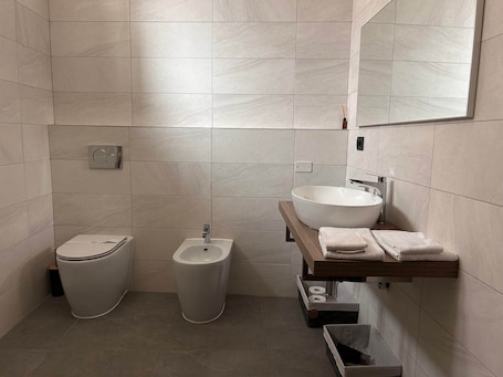 Hair dryer, towels, soap, shampoo. 4-Pop room (Dwelling 1848-Volta Mantovana)