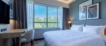 Radisson Hotel Amsterdam Airport Schiphol Hoofddorp