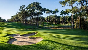 Golf - Welcome to your dream escape in PT-Lisbon, a quiet and green residential area (Corroios)