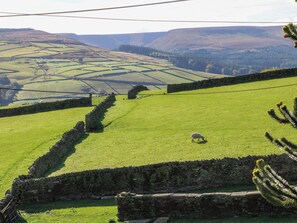 A rural landscape with a stone wall, green fields, and a sheep grazing. - Stone & Fleece Cottage (Holmfirth)