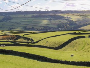 A rural landscape with rolling green fields, stone walls, and a distant village. - Stone & Fleece Cottage (Holmfirth)