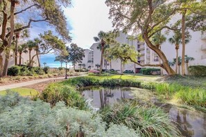 Un jardin aménagé avec un bassin, des palmiers et un sentier menant à un bâtiment doté de balcons.