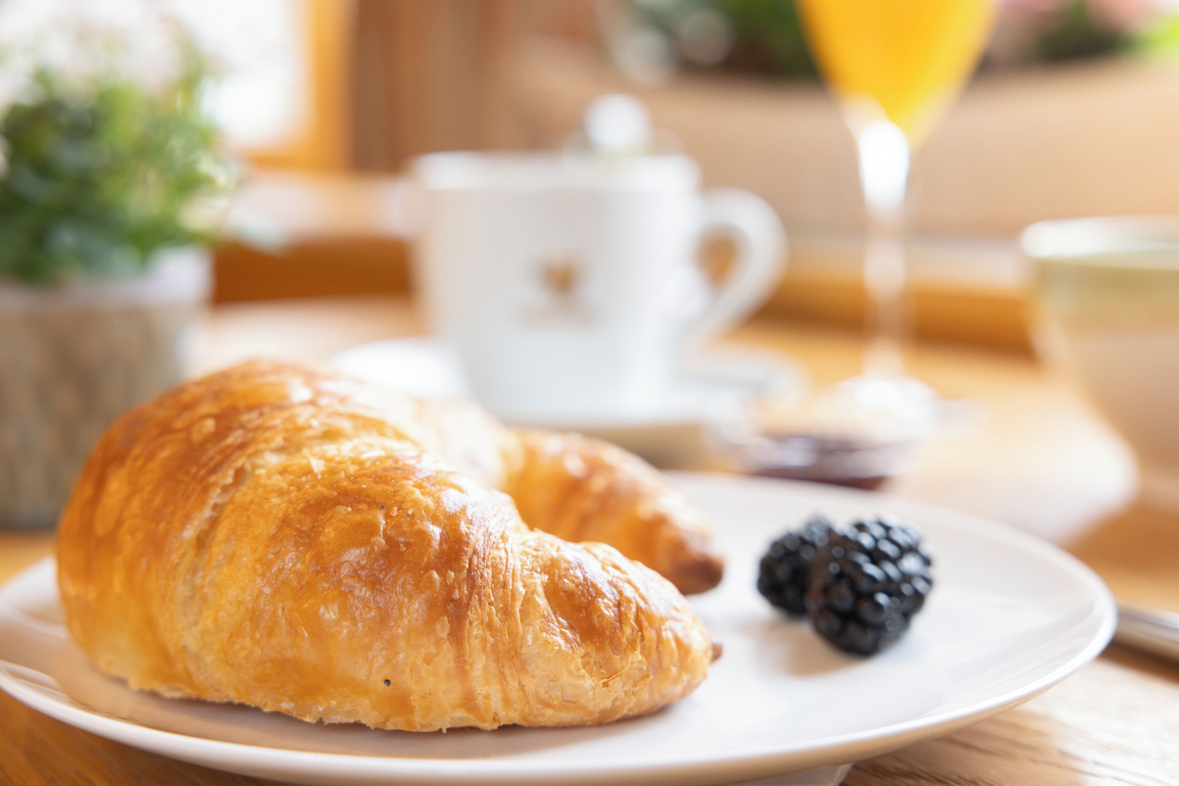 Tägliches inbegriffenes kontinentales Frühstück