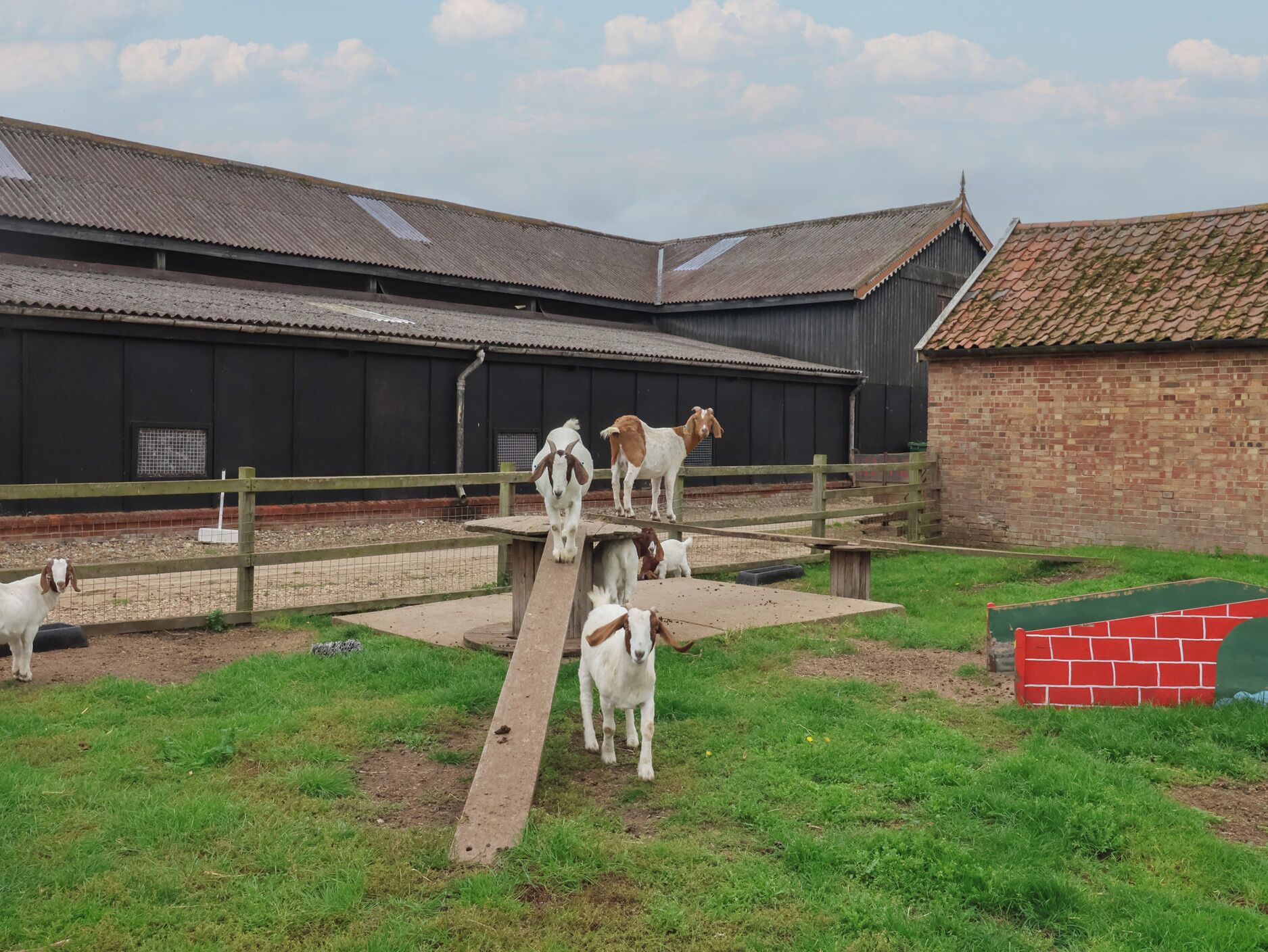 A farm with a fenced area containing goats and a building with a tiled roof.