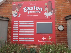 Miscellaneous - Molly (Woodbridge)