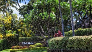 A well-maintained garden with a sign reading "Kihei Akahi," surrounded by lush greenery and palm trees. - New Listing! Akahi C613 – Ocean View Top Floor Condo, Newly Updated, Sleeps 4 (Kihei)