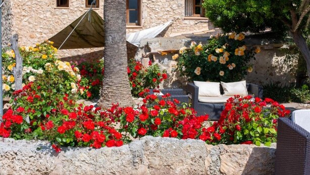 Ein Steinhaus mit Terrassenbereich, der rote und gelbe Blumen, eine Rattan-Couch und einen Baum zeigt.