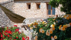 Ein Gebäude aus Stein mit Fenstern und einem Rosengarten.