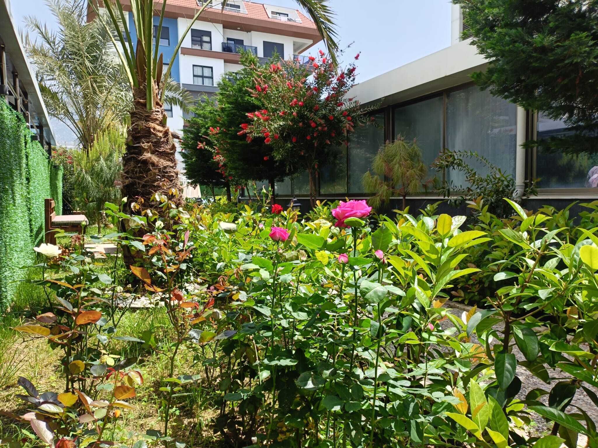 Uitzicht op de tuin