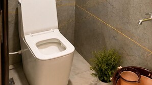 Ein modernes Badezimmer mit Toilette, Dusche und einer Topfpflanze.