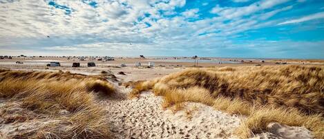 Leilighet | Utsikt fra overnattingsstedet