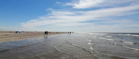 Apartment | View from property