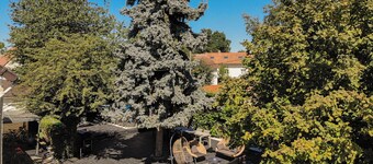 Villa Maxonale near Paris with Heated Pool, Sauna & Jacuzzi