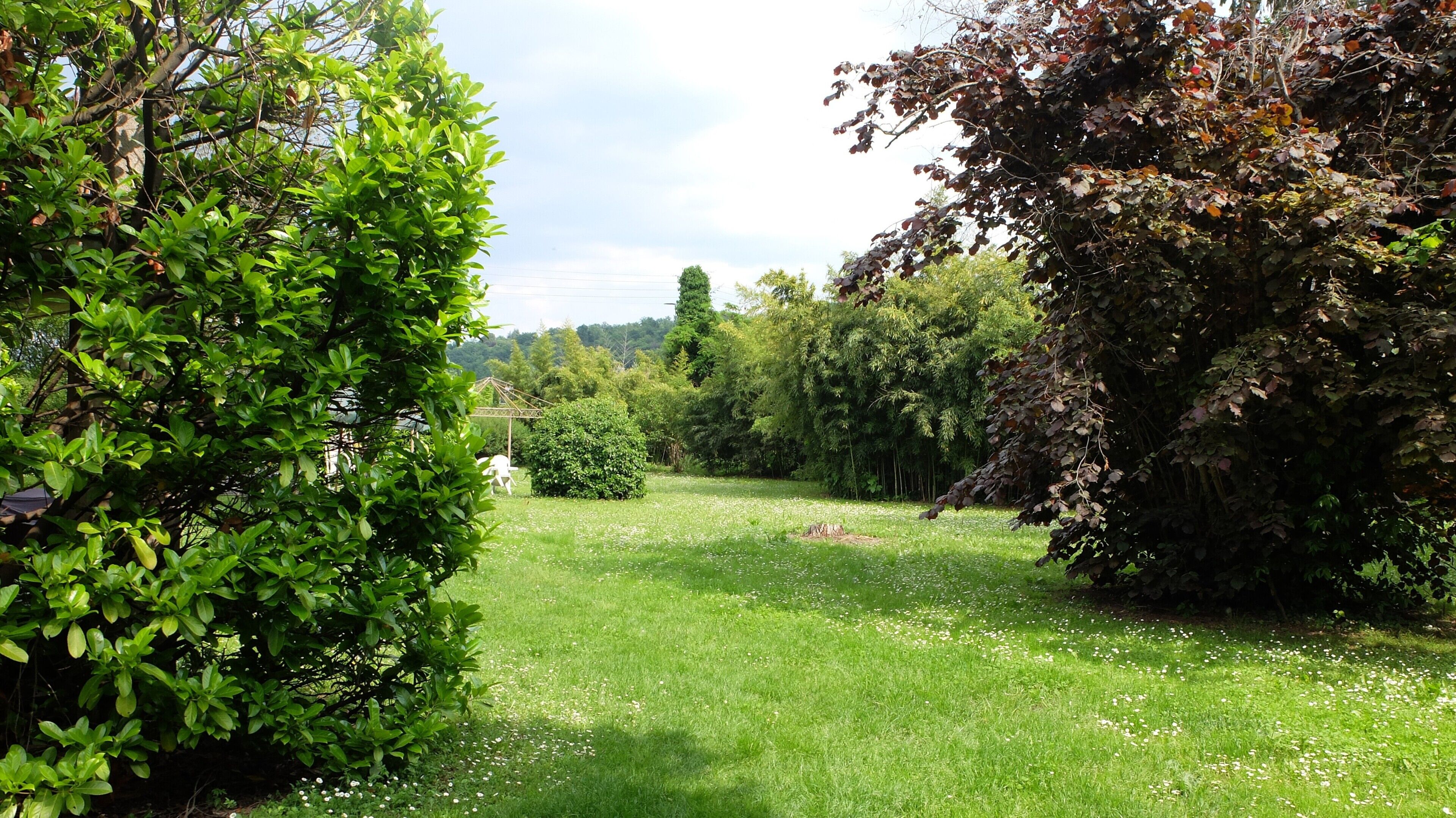 Un jardin avec différentes espèces d’arbres et une zone herbeuse.