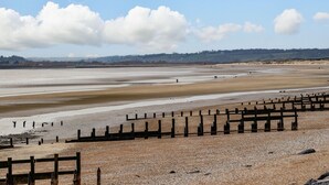 A wide beach with a wooden fence in the foreground and a clear sky.