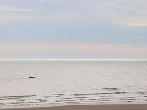 Beach nearby - Greengates (Rye)