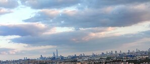 Comfort Apartment, 1 Double Bed with Sofa bed, Non Smoking, City View | View from room