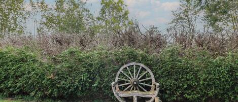 Un chariot en bois rustique, muni d’une roue et d’un pot, est placé sur une pelouse, avec en arrière-plan une végétation dense composée d’arbustes et d’arbres.