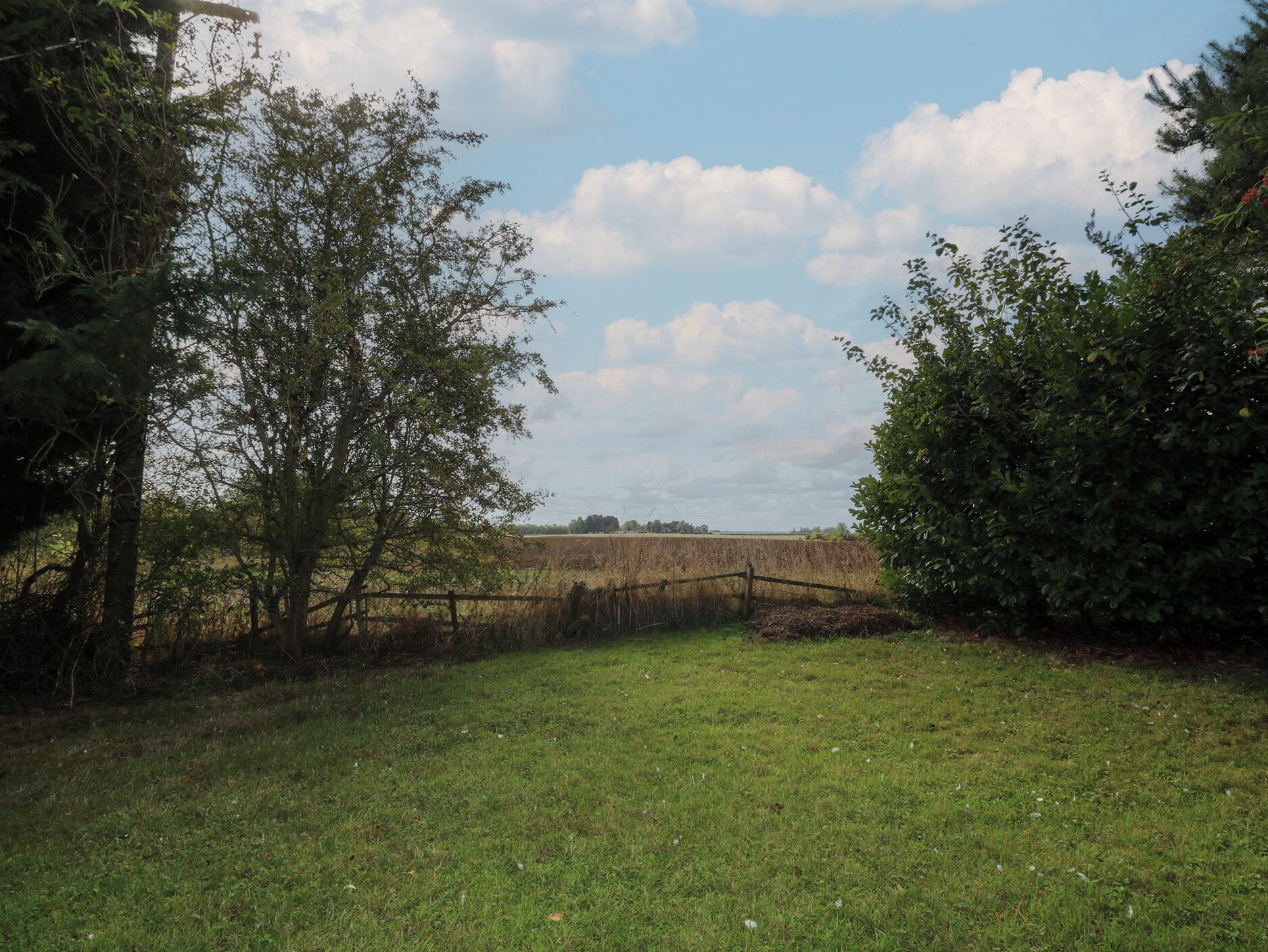 A grassy field with a wooden fence and trees.