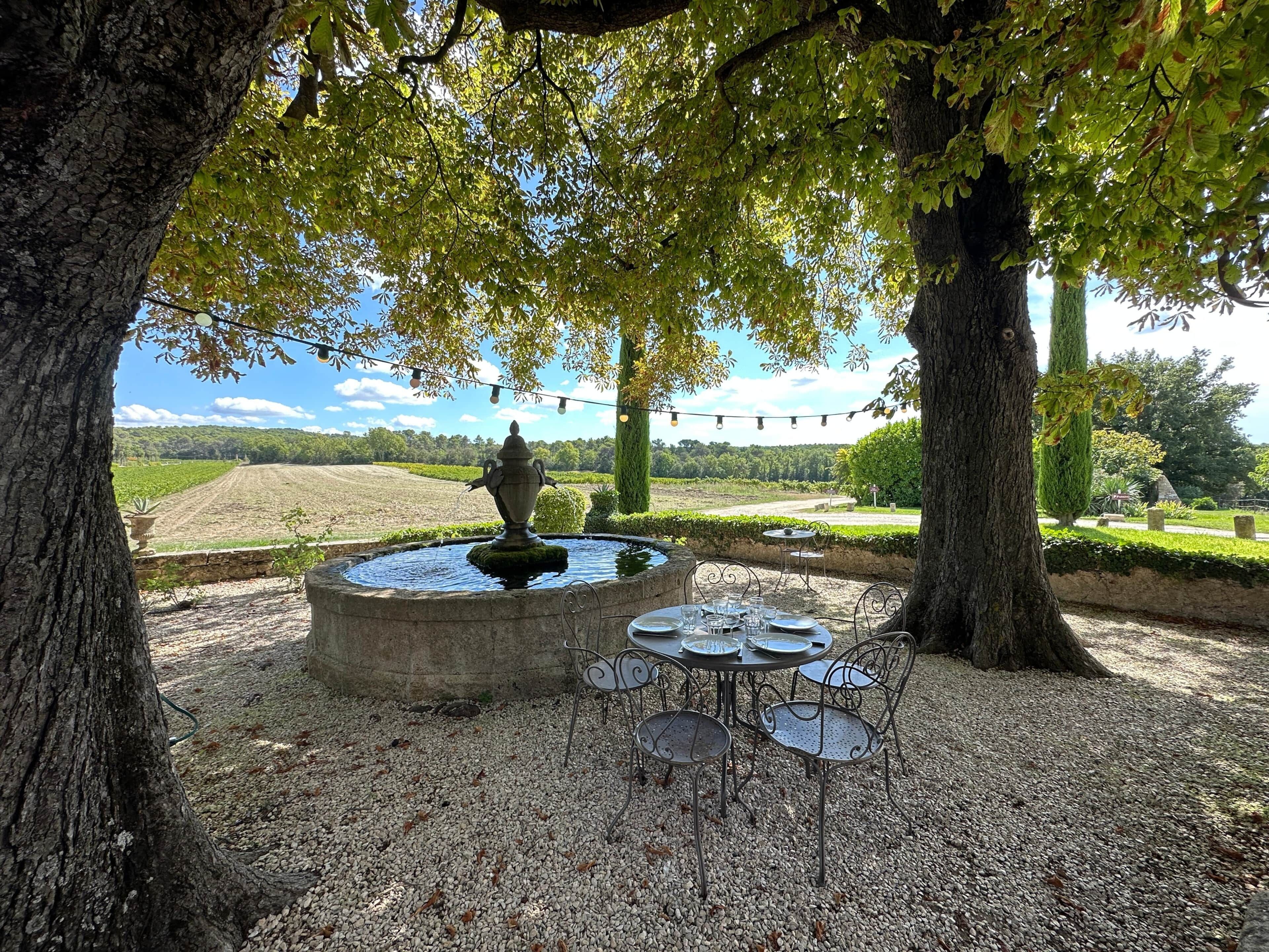 jardin, fontaine, chaises, vignes