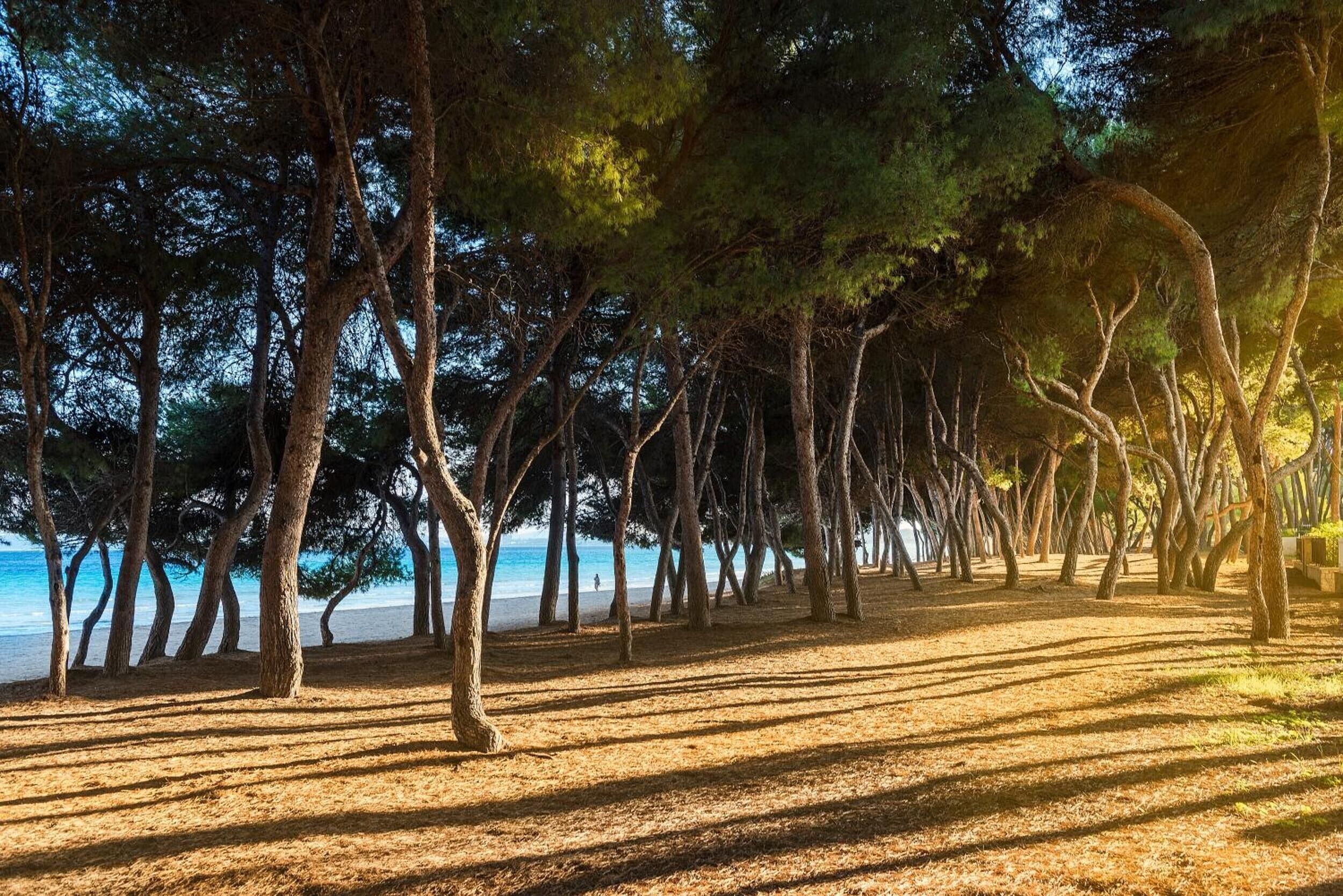 Vlak bij het strand