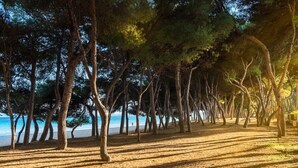 A beach with trees and a clear sky. - Villa Ocean - Beachfront Villa, Pool & Sea Views (Port d'Alcudia)