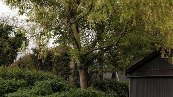 House | 1 bedroom, Internet