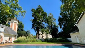 Une piscine bordée de briques, entourée d’une pelouse bien entretenue et d’arbres.