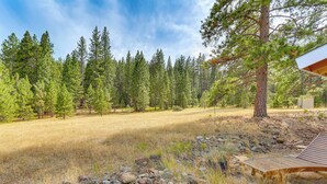 A wooden deck with a bench, surrounded by a natural landscape with pine trees and a grassy field. - Outdoor Adventure Haven - 15 Mi to Mount Shasta! (Weed)