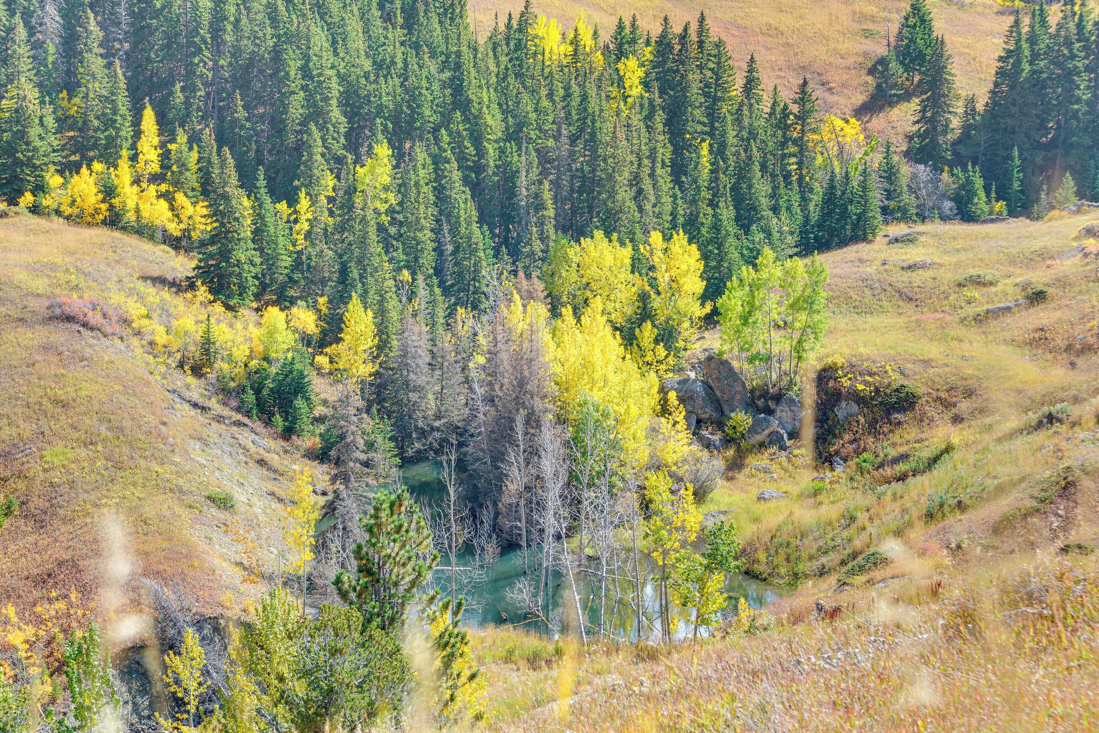 A mountainous landscape with a river, dense forest, and rocky terrain.