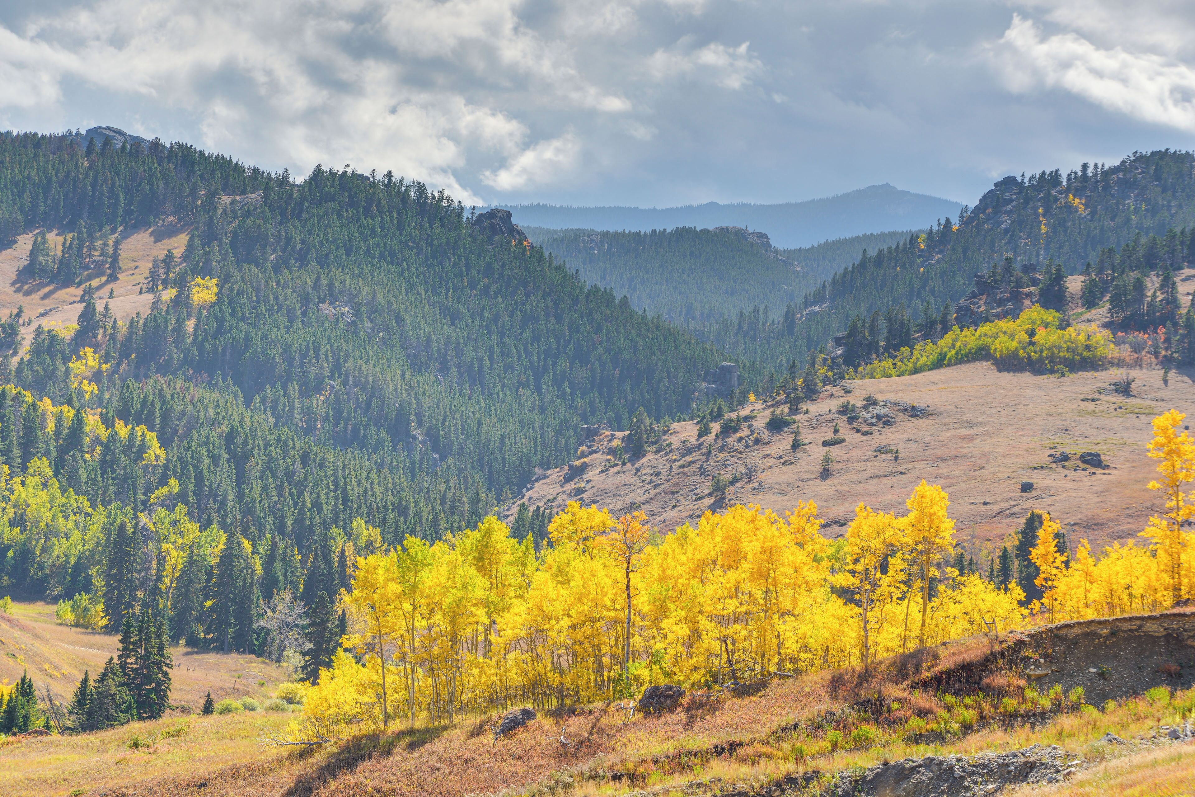 A mountainous landscape with dense forests and yellow foliage.