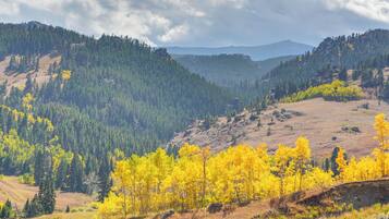 A mountainous landscape with dense forests and yellow foliage.