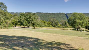 A park with open grassy areas, trees, and a hill in the background.