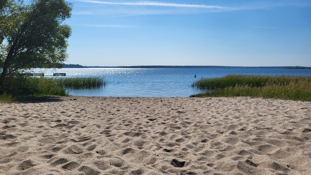 Une plage de sable avec un lac paisible, des bancs et un arbre.