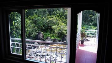 Chambre Deluxe Double ou avec lits jumeaux, vue fleuve | Vue depuis le balcon