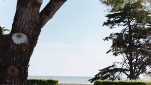 A tree-lined pathway leading to a body of water. - Villa Kenavo - Family house with sea view (Île-d'Aix)