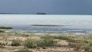 På stranden og strandhåndklær